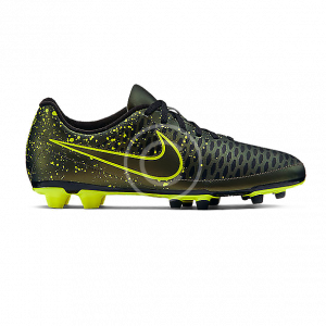 Air Zoom Pegasus